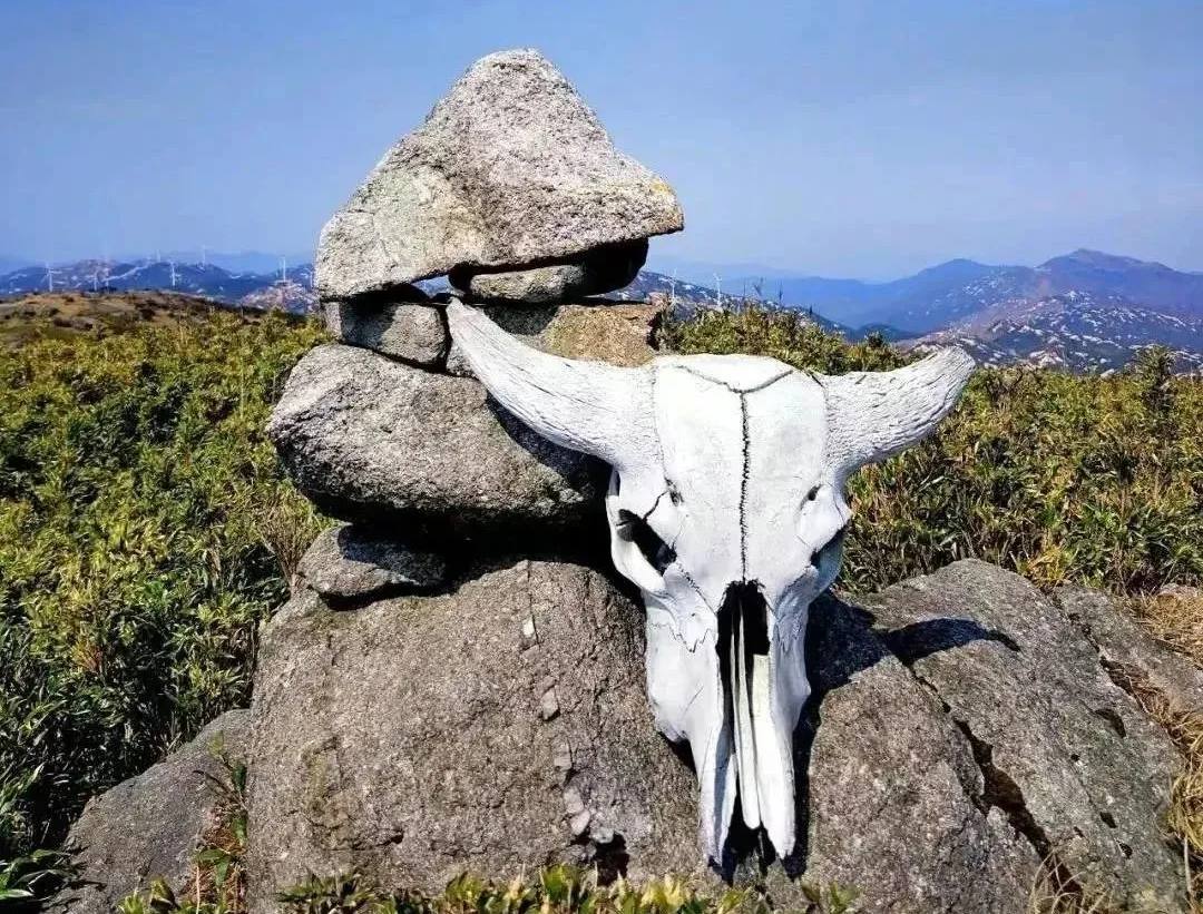 【三湘四水 · 相约湖南七峰】第一站---4月5-6日登湖南第五峰二宝顶（2021米），赏云锦杜鹃，黄金牧场看万山草绿花红！
