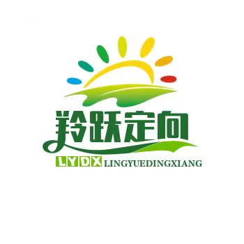 羚跃定向之9个符号国际演说家成长营 Day 3