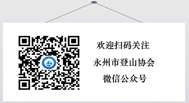 欢迎扫码关注公众号2.jpg